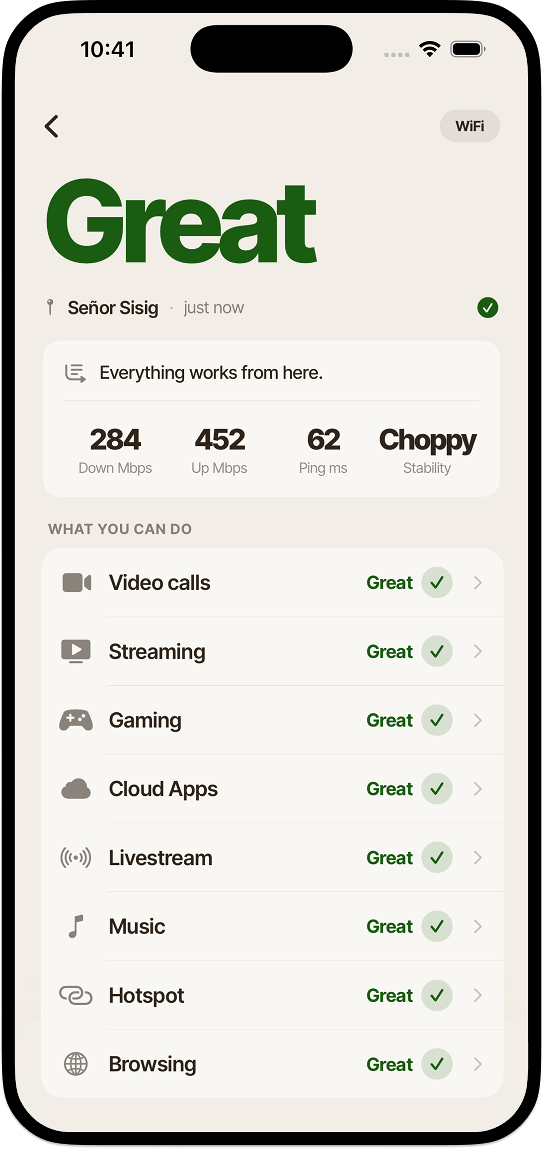 The Great verdict screen showing 256 Mbps down, 280 Mbps up, 55 ms ping, plus per-activity checks for Video Calls, Streaming, Gaming, Cloud Apps, Livestream, Music, Hotspot, and Browsing.
